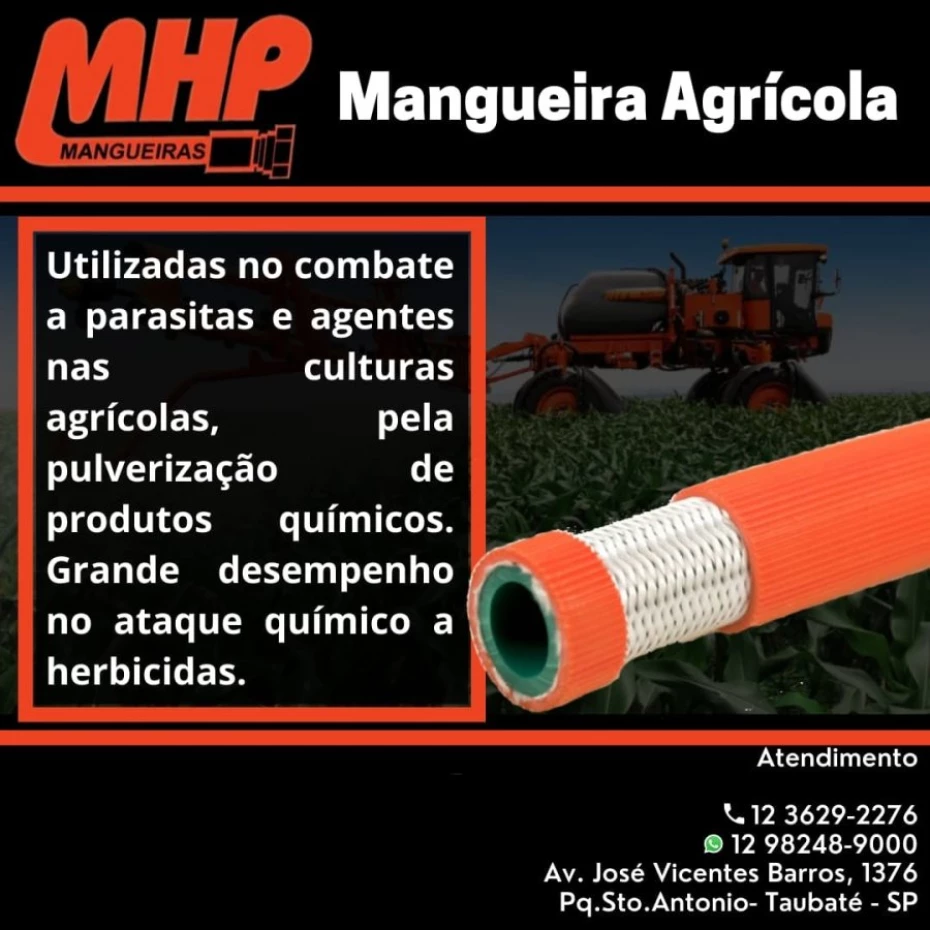 Foto 35:  — Taubaté Mangueiras