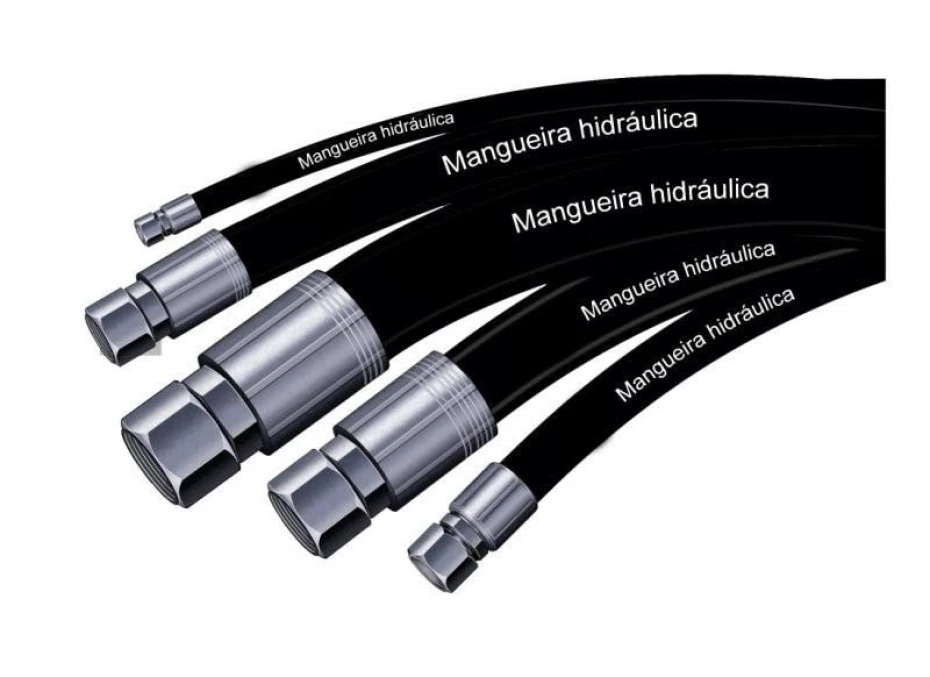 Foto 6:  — Taubaté Mangueiras